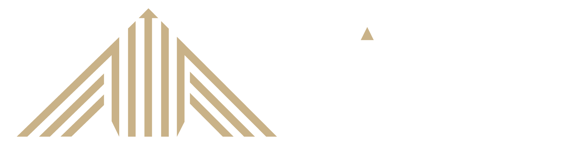 Elivate Synergy